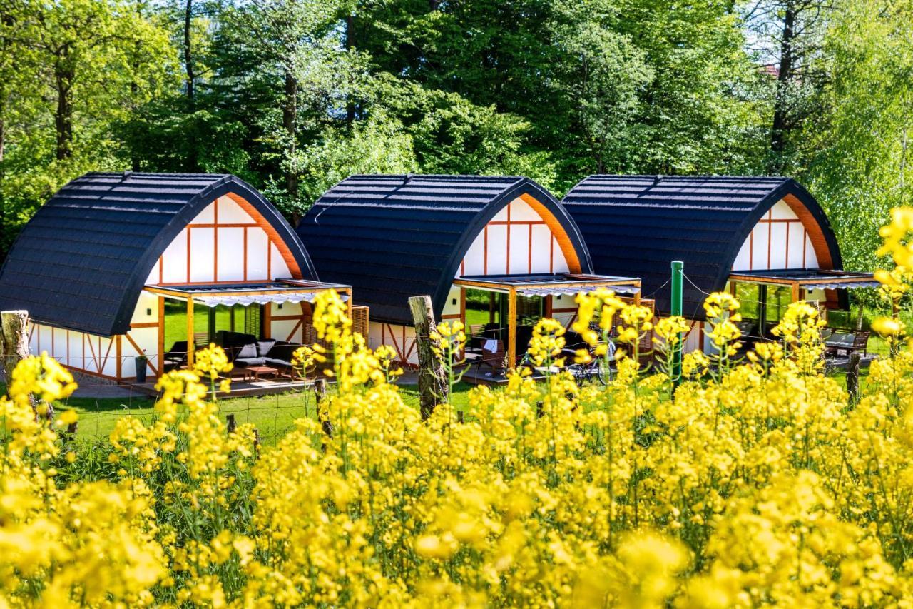 Sen I Wino, Domki Na Winnicy Ze Strefa Spa Живец Экстерьер фото