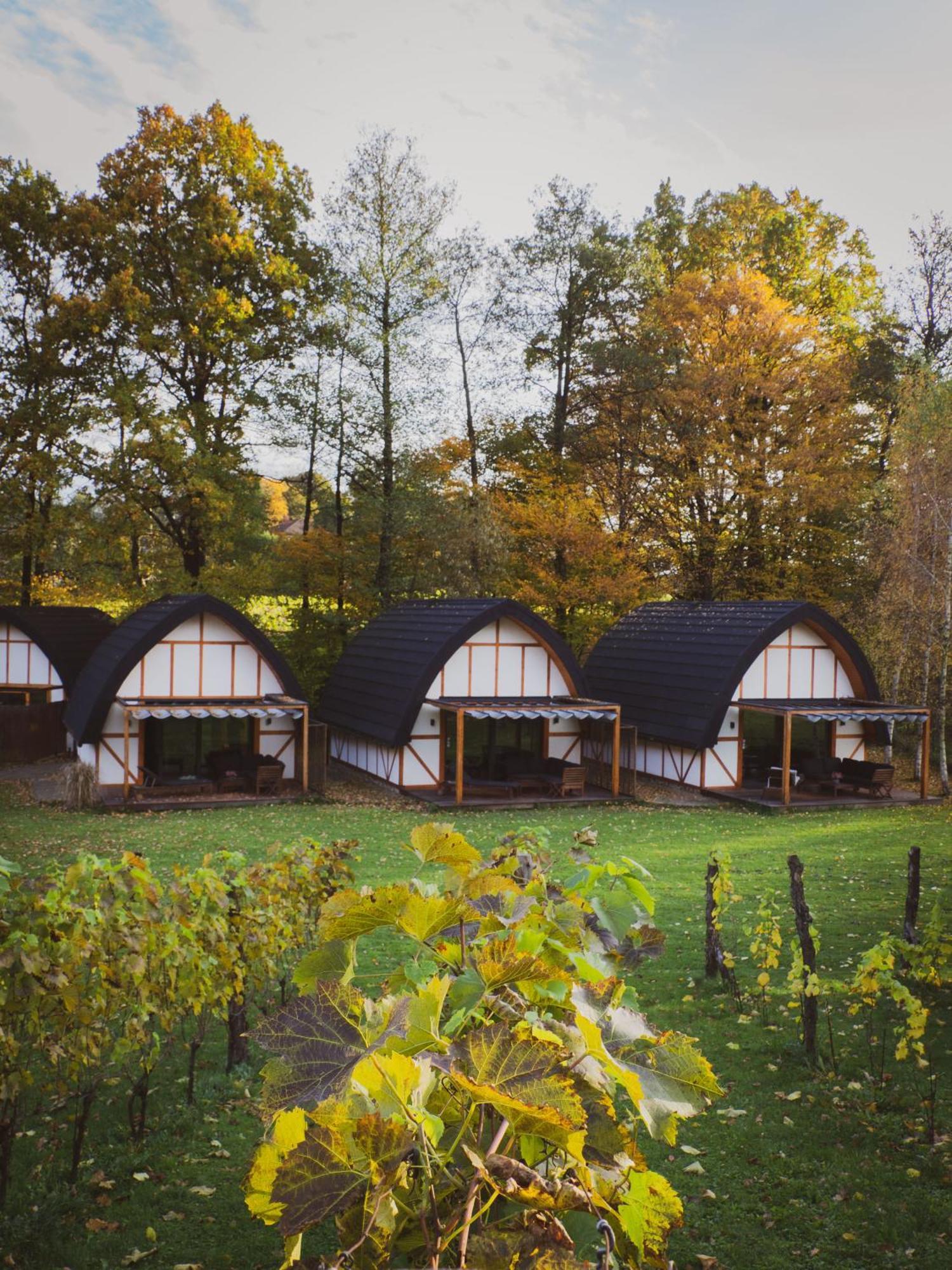 Sen I Wino, Domki Na Winnicy Ze Strefa Spa Живец Экстерьер фото