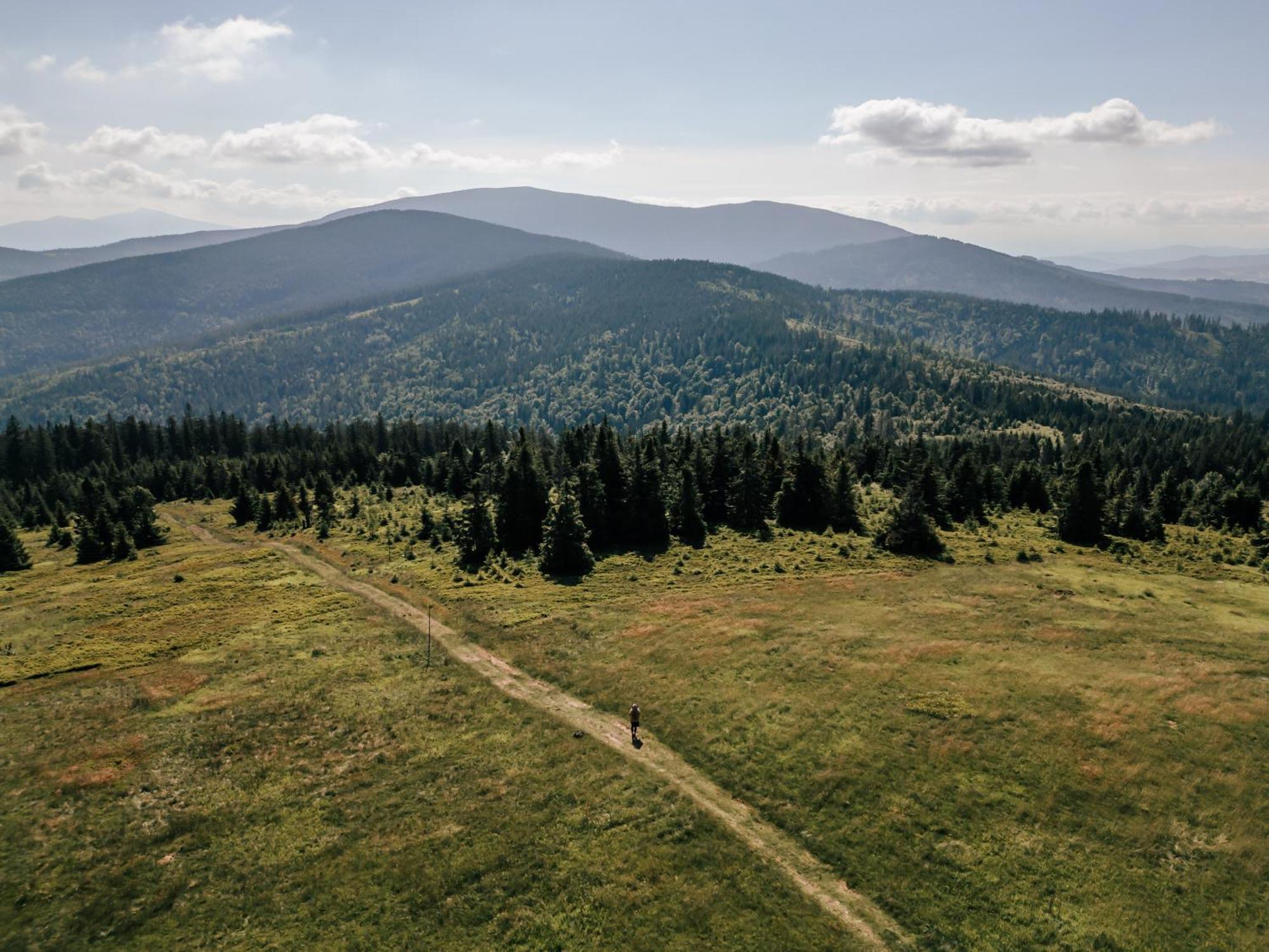 Sen I Wino, Domki Na Winnicy Ze Strefa Spa Живец Экстерьер фото