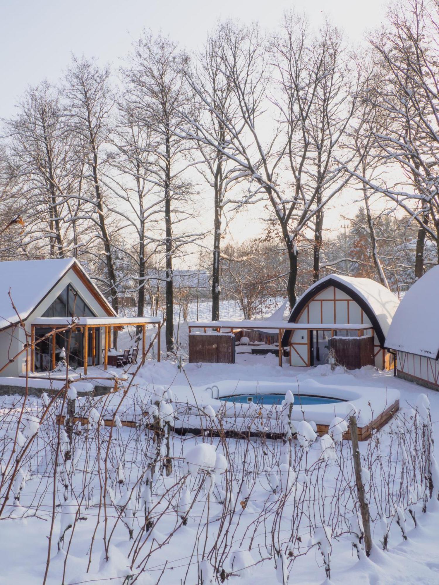Sen I Wino, Domki Na Winnicy Ze Strefa Spa Живец Экстерьер фото